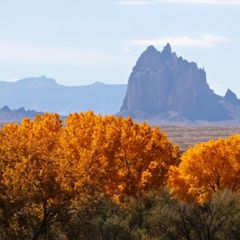 PLC at Work® Institute